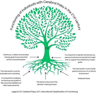 Editorial: Functioning of individuals with cerebral palsy in the 21st century